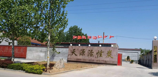粉末顆?；钚蕴?></div>
        <dl style=